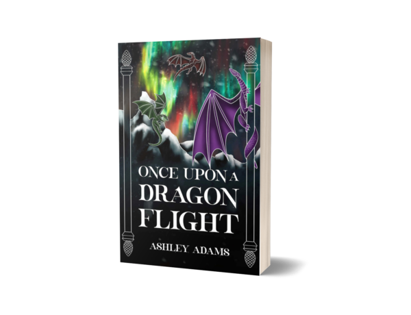 Once Upon a Dragon Flight (Paperback)